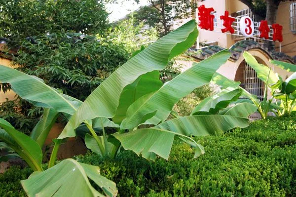 2025西咸新区丝路艺术职业学校招生简章相关图片
