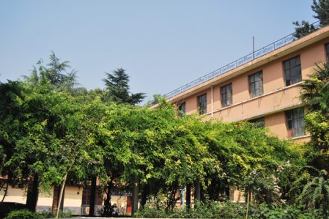 2025西咸新区丝路艺术职业学校招生简章